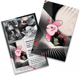 Karetní hra Pokémon TCG: Scarlet & Violet - Black Bolt & White Flare - Mienshao Unova Mini Tin dupl