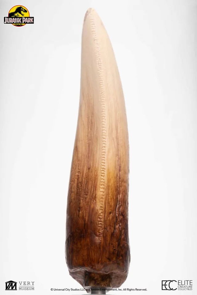 Replika Jurassic Park - T-Rex Tooth (27 cm)