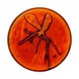 Odznak Transformers - Limited Edition dupl