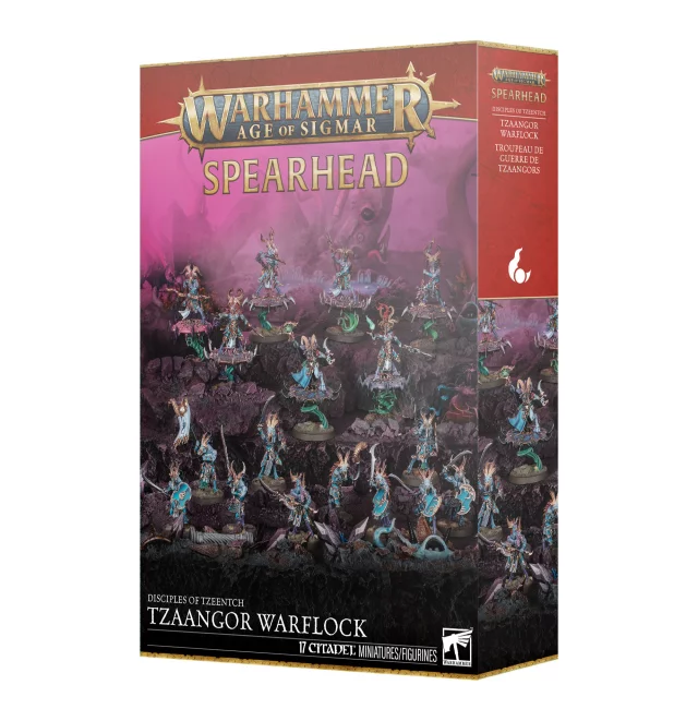 W-AOS: Disciples of Tzeentch - Pink Horrors (10 figurek) dupl