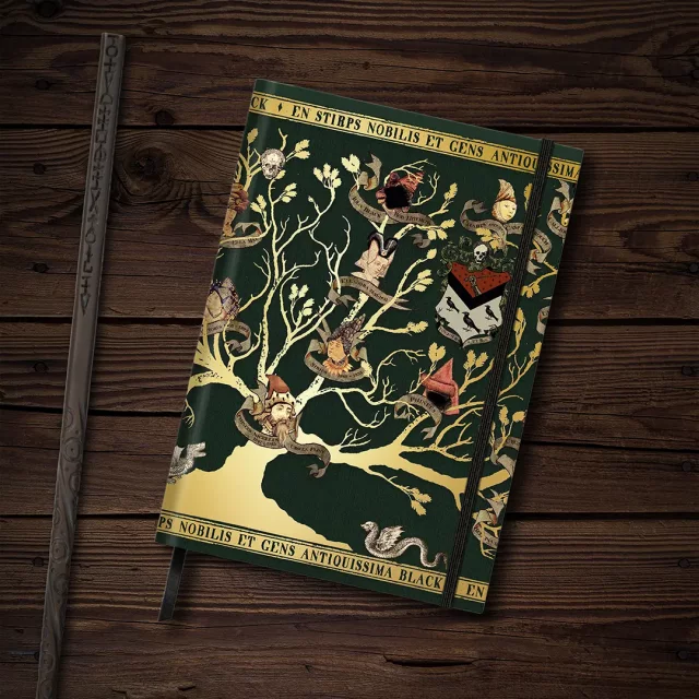 Zápisník Harry Potter - Hogwarts Crest dupl