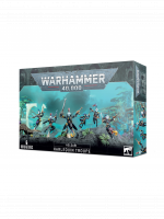 W40k: Aeldari - Harlequin Troupe (6 figurek)