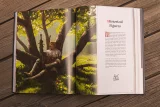 Książka The Art of Kingdom Come: Deliverance II [EN]