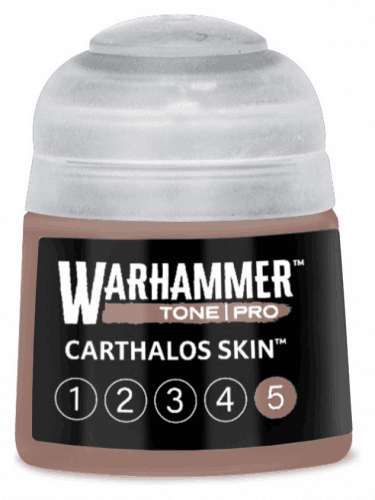 Farba bazowa Warhammer Tone Pro (Carthalos Skin 5) - ciemnobrązowy