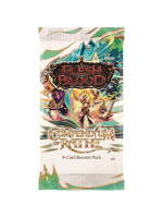 Gra karciana Flesh and Blood TCG: Compendium of Rathe - Booster