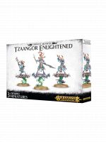 W-AOS: Disciples of Tzeentch - Tzaangor Enlightened (3 figurki)