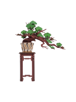 Zestaw konstrukcyjny - Evergreen Pine Bonsai (drewno)