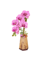 Zestaw konstrukcyjny - Purple Moth Orchid (drewno)