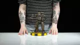 Figurka Fallout - NCR Power Armor (Dark Horse)