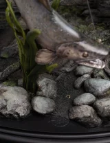 Statuetka Lord of The Rings - Smeagol & Deagol (Weta Workshop) - Figurka