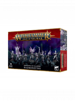 W-AOS: Hedonites of Slaanesh - Daemonettes (10 figurek)