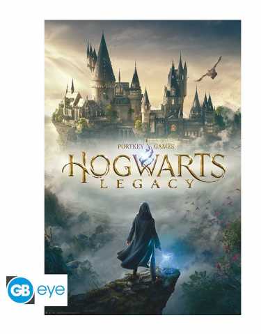 Plakat Harry Potter - Hogwarts Legacy (Dziedzictwo Hogwartu)