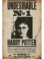 Plakat Harry Potter - Undesirable No 1