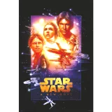 Plakát Star Wars - New Hope Special Edition