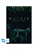 Plakat w ramce Matrix - The Matrix Resurrections Cat