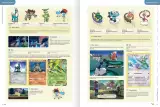 Książka Pokémon Deluxe Character Guide ENG