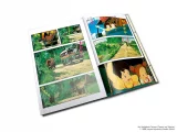 Książka My Neighbor Totoro Film Comic: All-in-One Edition ENG