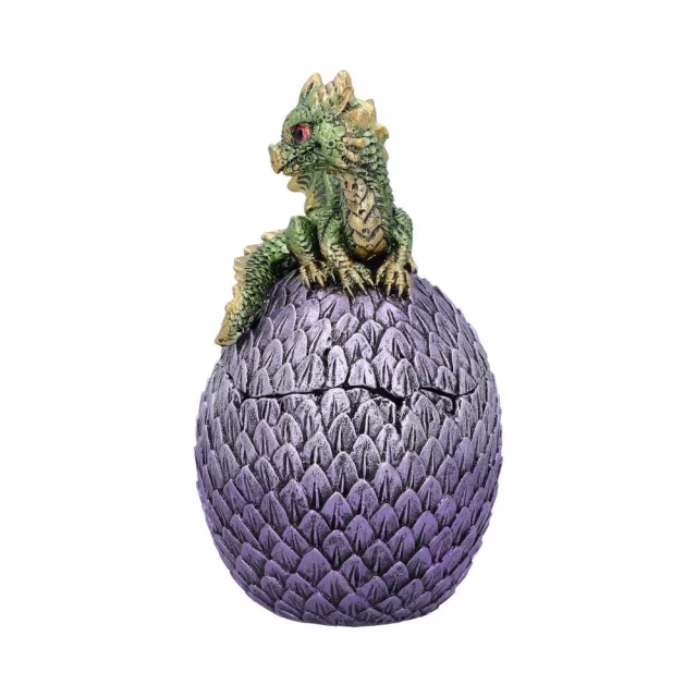 Pojemnik Dragonling Green (Nemesis Now) - Nemesis Now