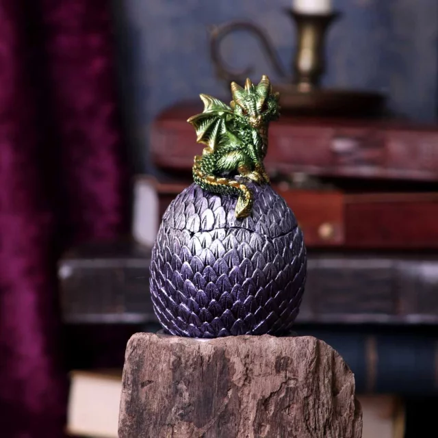 Pojemnik Dragonling Green (Nemesis Now) - Naczynia kuchenne