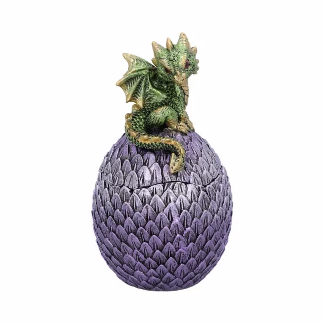 Pojemnik Dragonling Green (Nemesis Now) - Naczynia kuchenne