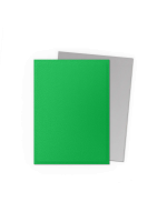 Koszulki ochronne na karty Dragon Shield - Matte Dual Sleeves Apple Green & Silver (100 szt.)