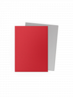 Koszulki ochronne na karty Dragon Shield - Matte Dual Sleeves Crimson & Silver (100 szt.)