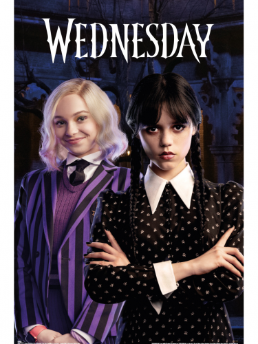 Plakat Wednesday - Wednesday & Enid