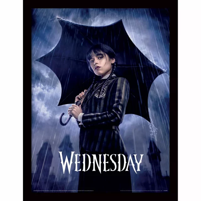 Zarámovaný plakát Wednesday - Downpour