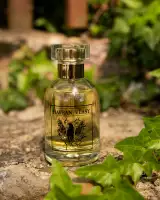 Perfumy damskie Xzone Originals - Krucze włosy