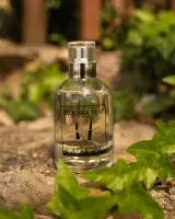 Perfumy męskie Xzone Originals - Próba Traw