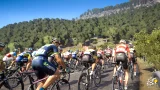 Pro Cycling Manager 2017 (PC)