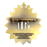 Odznaka Kingdom Come: Deliverance - Limited Collector Pin
