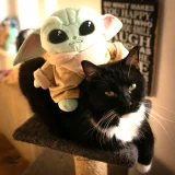 Mandalorian Pluszak Baby Yoda/Grogu