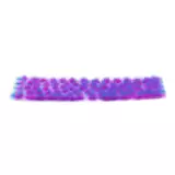 Kępki traw modelarskich AK - Purple-pink tufts (4,5 mm) - Warhammer 40000