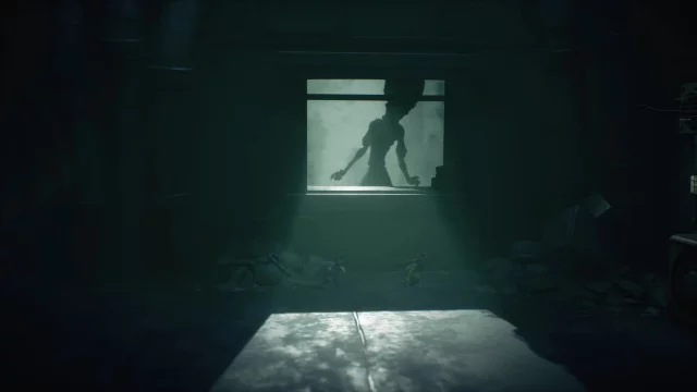 Shadow Labyrinth dupl (PS4)