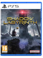 Shadow Labyrinth