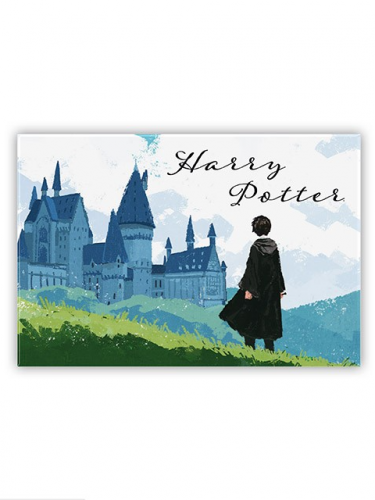 Magnes Harry Potter - Harry & Hogwarts