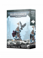 W40k: Space Wolves - Njal Stormcaller (1 figurka)