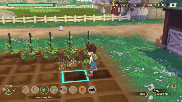 STORY OF SEASONS: A Wonderful Life (SWITCH)