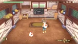 STORY OF SEASONS: A Wonderful Life (SWITCH)