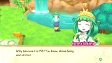 Story of Seasons: Friends of Mineral Town (SWITCH) - Budowlane