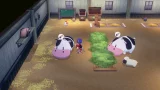 STORY OF SEASONS: A Wonderful Life dupl (SWITCH)