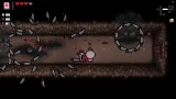 The Binding of Isaac: Afterbirth+ (SWITCH)