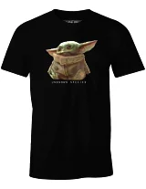 Koszulka Star Wars: The Mandalorian - Unknown Species