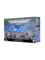 W40k: Adeptus Custodes - Sisters of Silence (5 figurek)