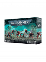 W40k: Aeldari - Warp Spiders (6 figurek)