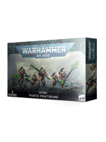 W40k: Necrons - Triarch Praetorians (5 figurek)