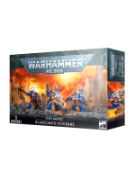 W40k: Space Marines - Bladeguard Veterans (3 figurki)