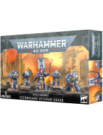 W40k: Space Marines - Sternguard Veteran Squad (5 figurek)