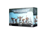 W40k: Space Wolves Wulfen (5 figurek)